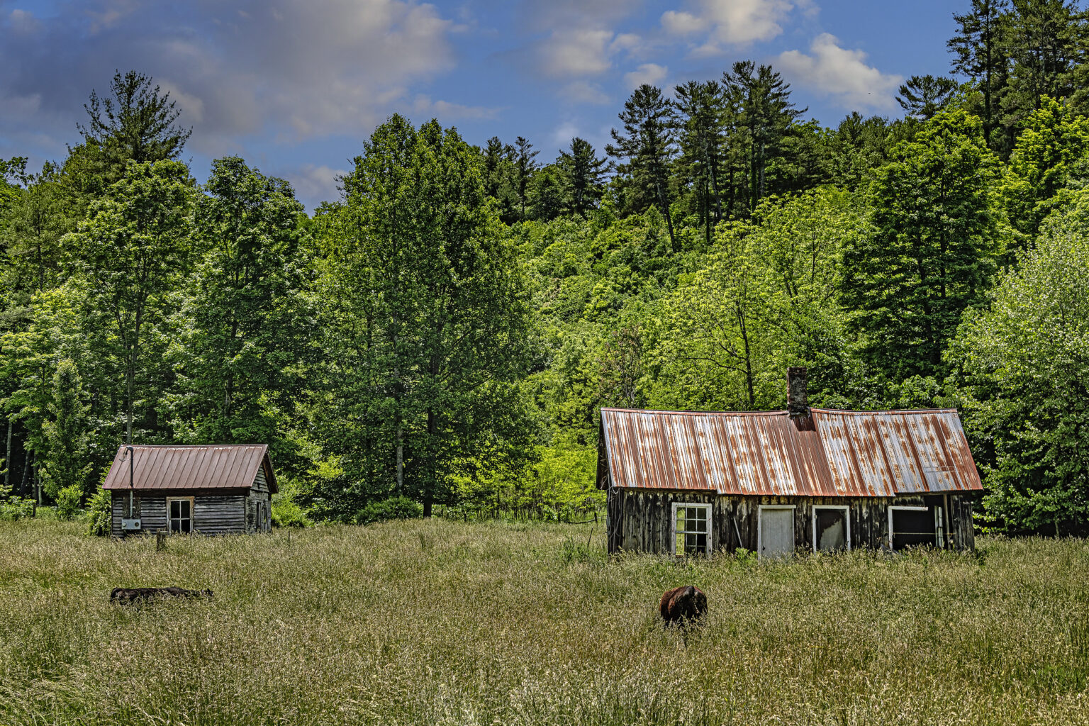 Reed’s Mill, Second Creek, WV